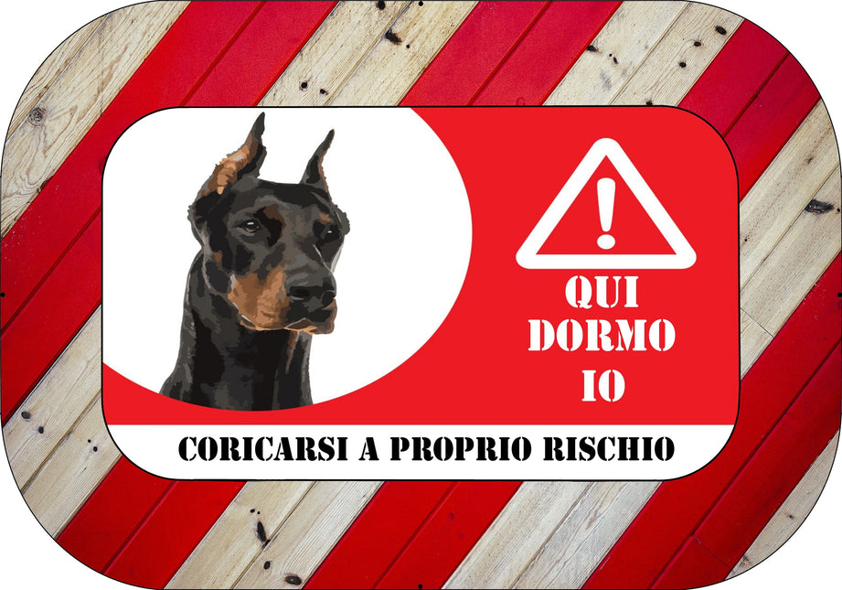 CUCCIA 219