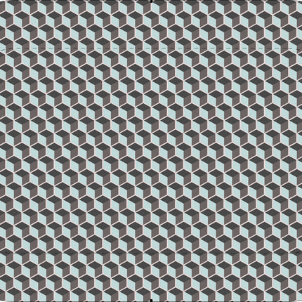 CUCCIA 251