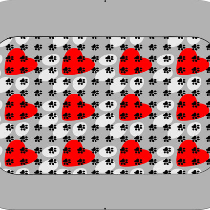 CUCCIA 4