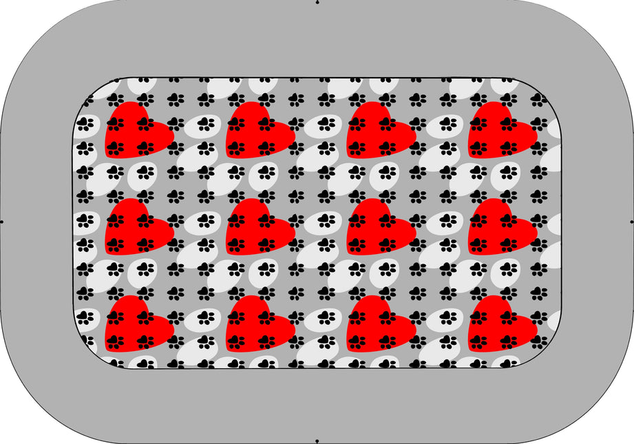 CUCCIA 4