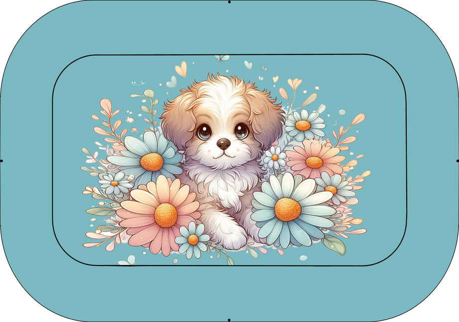 CUCCIA 505